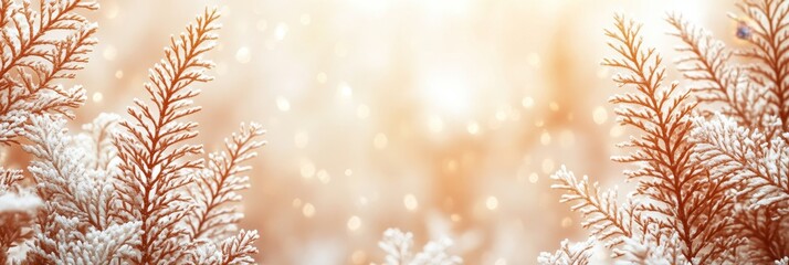 A soft, gentle abstract background featuring frosted branches with a warm, glowing light and bokeh effect