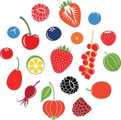 Berry logo. Isolated berry on white background