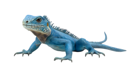 A vibrant blue reptile with intricate scales and a striking appearance perfect for nature wil