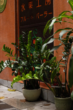 Traditional facade in Hong Kong with orange tile and leafy plants. 