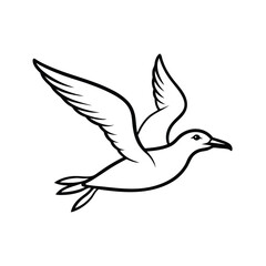 Seagull in Flight on White vector illustration