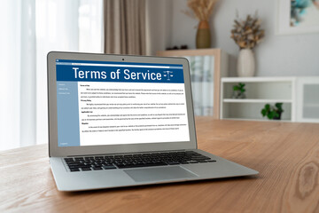 Online term of service conditions showing brisk rules and regulations in using the website on...