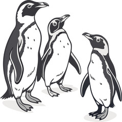 Obraz premium Three magellanic penguins standing on white patches illustration with transparency