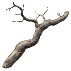 deer isolated on white