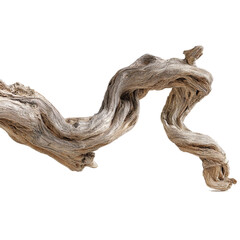 tree stump isolated on white