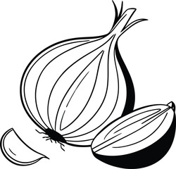 vector illustration of an onion