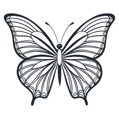 Butterfly Outline Elegant Black and White Silhouette with Intricate Wing Detail