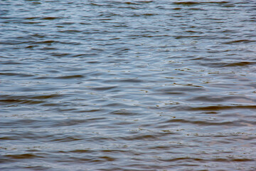Background of the Dnieper River water surface with ripples. Natural color of river water.