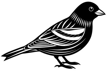 Cute Bird Vector Line Art Illustration – Clipart, Logo Icon, Black and White Bird Drawing