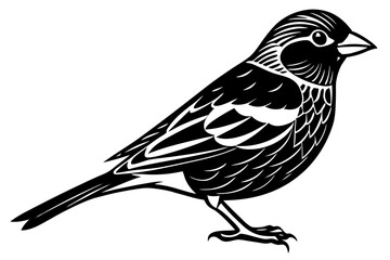 Cute Bird Vector Line Art Illustration – Clipart, Logo Icon, Black and White Bird Drawing