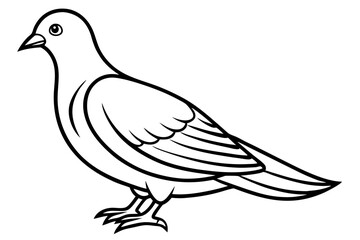 Bird Line Art Vector – Minimalist Bird Illustration, Logo Icon, and Clipart on White Background