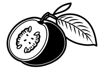 Fruit Line Art Vector – Minimalist Clipart, Logo Icon, and Illustration on White Background