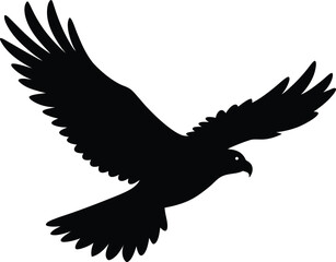 silhouette of a hawk diving on white background  