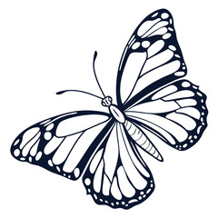 Butterfly Detailed Outline Isolated On White, Simple Line Art, Monochrome, Single Object