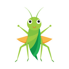 Cute green cartoon grasshopper insect vector illustration isolated on white background