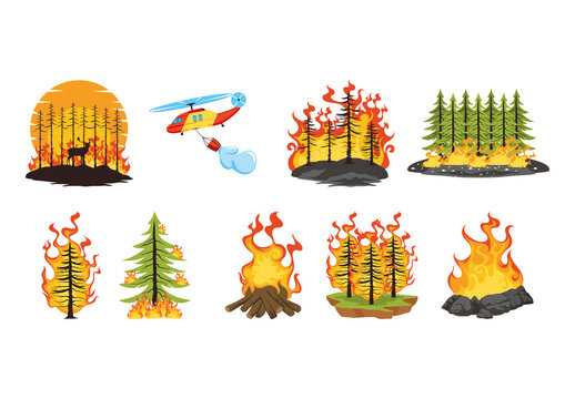 Colorful Dramatic Wildfire Scene Vector Illustration Set