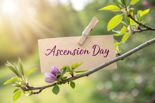Natural Ascension Day greeting with handwritten tag on blossoming branch, symbolizing spring, renewal, spiritual growth, and the resurrection of Jesus Christ.generative ai - Powered by Adobe