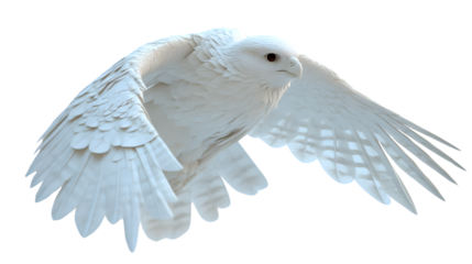 A majestic white bird in flight with detailed feathers perfect for nature and wildlife themes