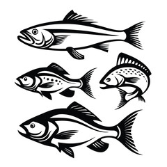 Fish Collection Black Silhouettes of Various Fish Species on Isolated White Backdrop