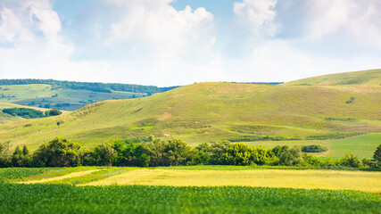 landscape with rural field. mountainous countryside of romania in summer. cloudy sky. picturesque highland