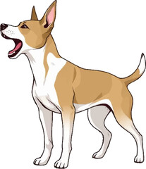 jack russell terrier dog