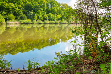 landscape with lake among forested hills in summer. serene weather. outdoor environment under blue sky for vacation or fishing. reflection of green scenery with deciduous trees in morning light