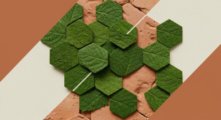 Combining abstract nature elements with geometric overlays—like leaves arranged in hexagonal patterns, or natural stone textures intersected by digital lines.