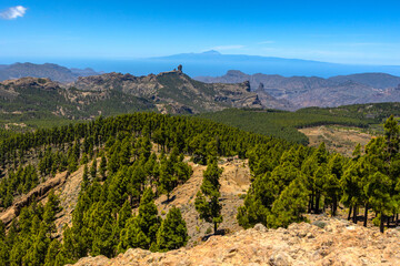 Scenic Mountain Landscape in Gran Canaria with Pine Forest, Stunning panoramic view of mountainous terrain and dense pine forest in Gran Canaria.
