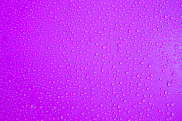 Drops violet background. Water drops violet purple background. Fresh violaceous colour. Abstarct wet texture bubbles. Raindrop pure water droplets condensed for creative banner design. Water Drops. 