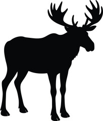 Obraz premium silhouette of a moose standing with antlers 