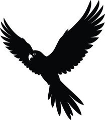 silhouette of a parrot in flight on white 