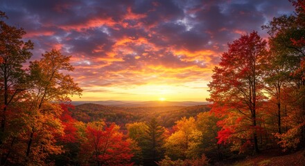 Fototapeta premium Autumn Sunset Over Colorful Forest - Serene autumnal landscape, vibrant sunset colors, fiery foliage, tranquil atmosphere, symbolic of change, beauty, and the season's end
