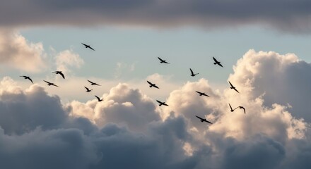 Obraz premium Birds Flying Above Cloudscape - A flock of birds silhouetted against a dramatic cloudy sky. Peaceful, serene, and majestic