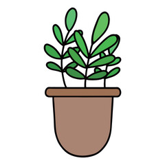 A pot with sprouts growing