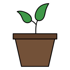 A pot with sprouts growing