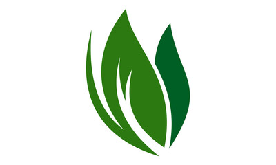 icon leaf logo design