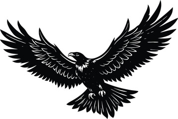 Obraz premium Silhouette Of Flying Eagle