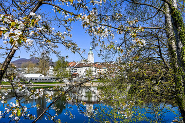 Olten, Stadt, Stadtturm, Aare, Fluss, Holzbrücke, Altstadt, Frühling, Frühlingssonne, Frühlingsblüten, Solothurn, Schweiz