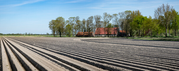 Sandy field ploughed in long parallel lanes in front of a farm in the Noordoostpolder in the...