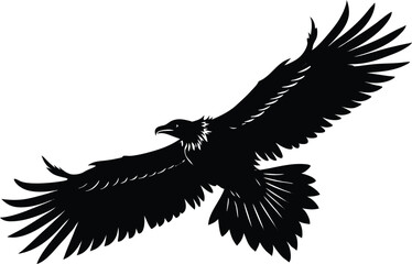 Vulture Silhouette Flying