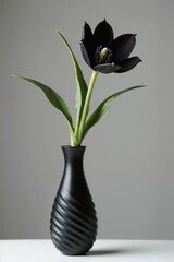 Elegant Black Flower in Modern Twisted Vase - Minimalist Home design