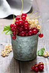 White and red currants in a metal bucket on a wooden background.