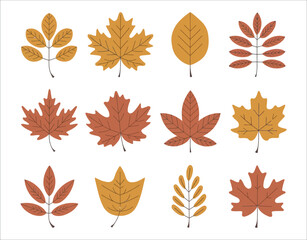 Fototapeta premium Collection of Fall Leaves and Berries – Vector Silhouette