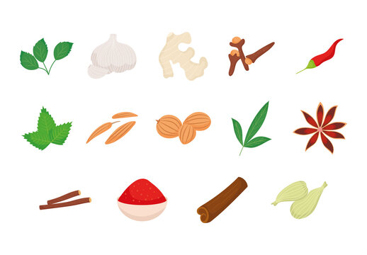 Natural Aromatic Cooking Seasoning Vector Illustrations Set