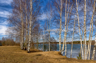 Sunny spring day on the shore of a quarry.