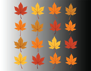 Obraz premium Vector Silhouettes of Fall Leaves and Hawthorn Berries