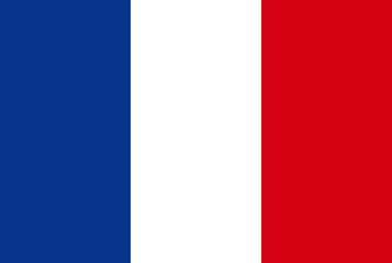 Flag of France. France National Flag. Vector Illustration.