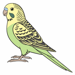 Fototapeta premium A vector illustration of the American Lineolate Parakeet, featuring its distinctive barred feathers and playful demeanor—ideal for pet-themed designs.