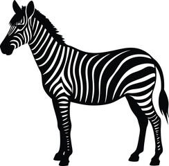 silhouette of a zebra standing still on white Durian fruit icon vector on white background

