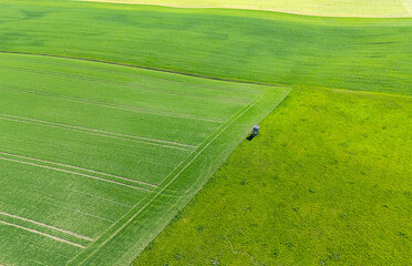 Aerial view of agricultural fields in green colour in the spring